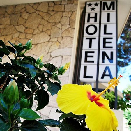 Hotel Milena Rimini Bagian luar foto